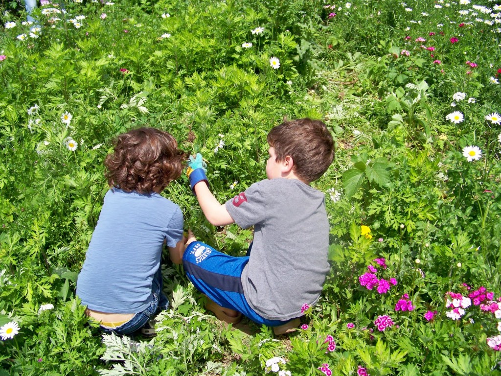 Guest Post: Tips to Get Your Kids Interested in Gardening