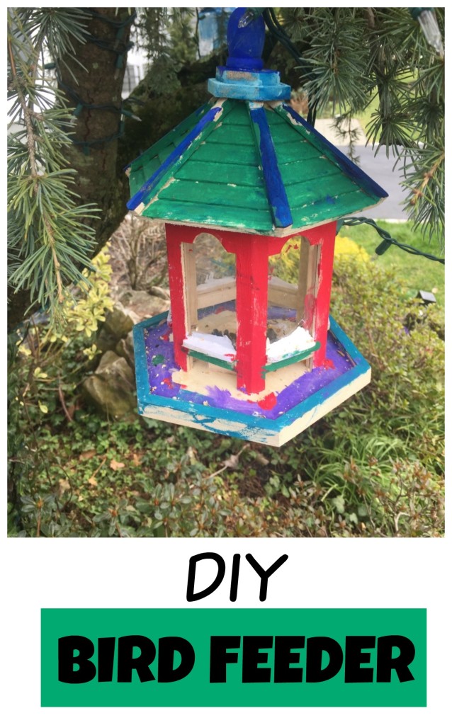 BIRD FEEDER DIY